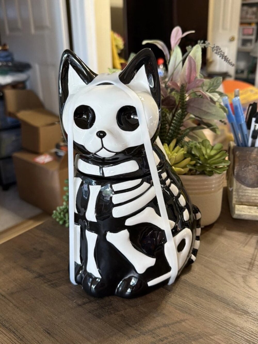 Jack O Lantern Lane Black & White Ceramic Skeleton Cat Cookie Jar